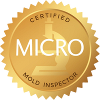 Mold Remediation 2 Mold Remediation 2